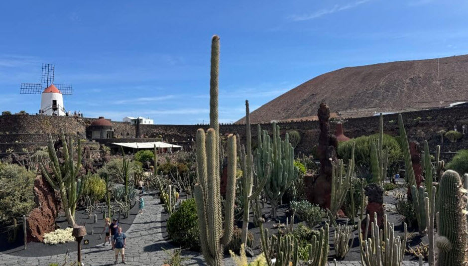 Cactus Garden, Spain